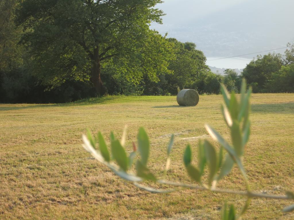 Agriturismo Deviscio Lecco Exterior foto