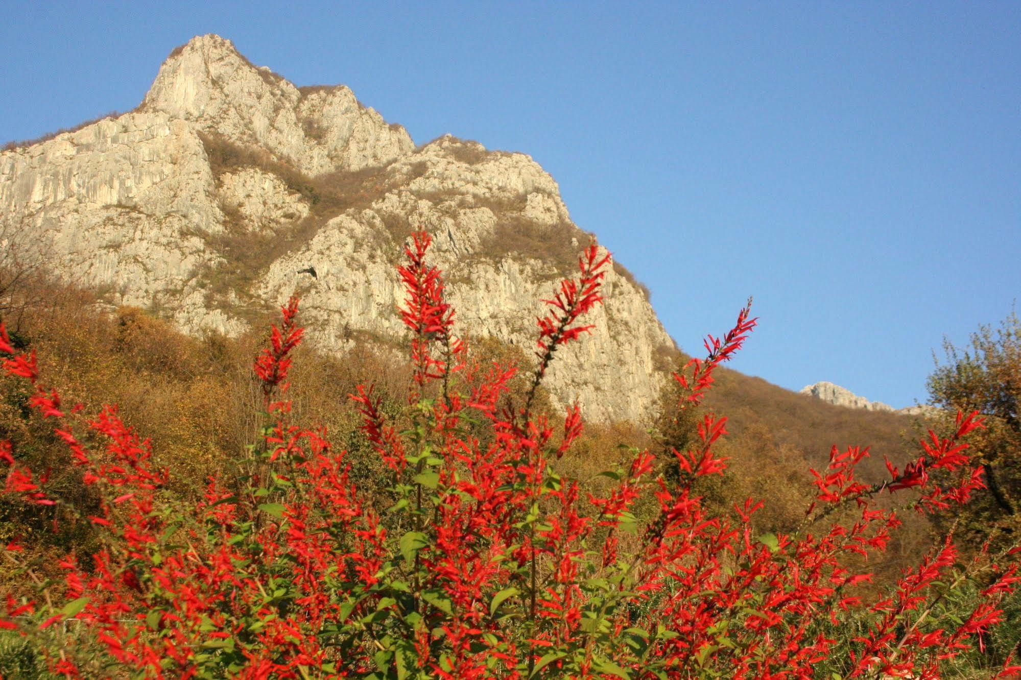 Agriturismo Deviscio Lecco Exterior foto